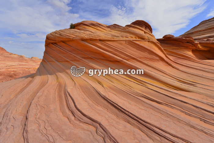 Formations gréseuses (The Wave) - gryphea.org